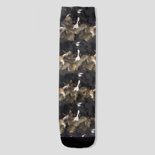 Cozy Gaze Bernese Mountain Dog women’s socks by Zeblismapo